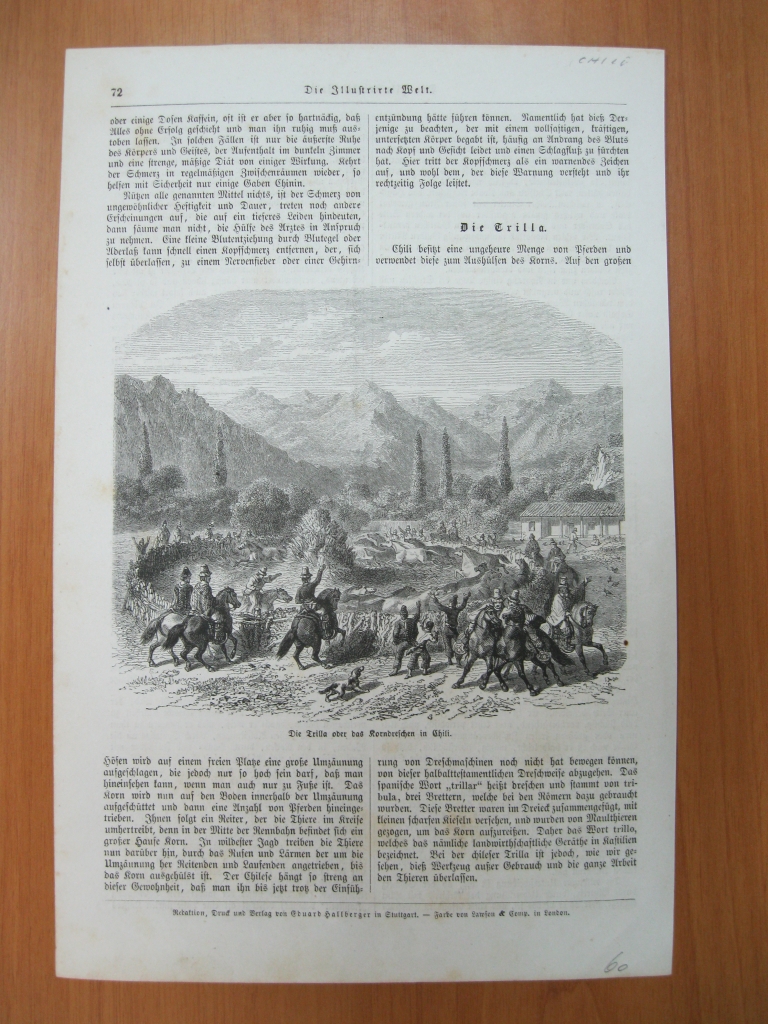 Costumbres antiguas de Chile.  La trilla a yegua, (América del sur), 1860.